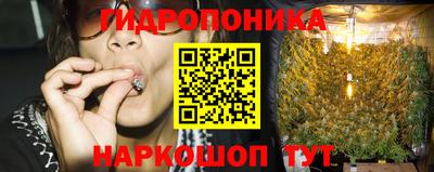 спайс Ачхой-Мартан