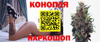спайс Ачхой-Мартан