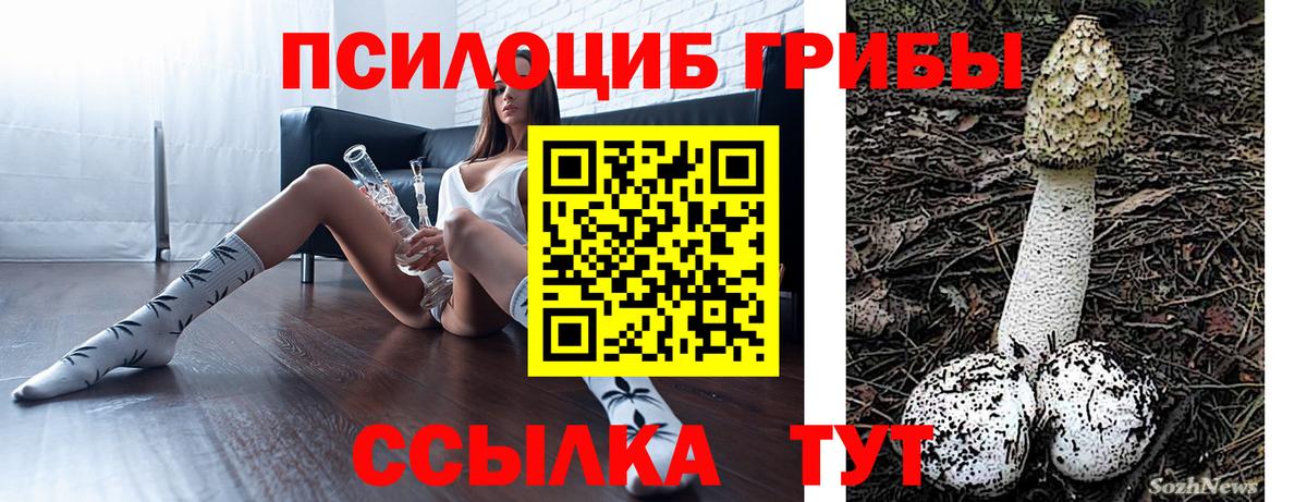 Псилоцибиновые грибы Psilocybe Вышний Волочёк