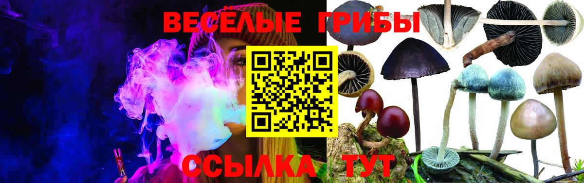 Галлюциногенные грибы Magic Shrooms  Вход с VPN  Вышний Волочёк 